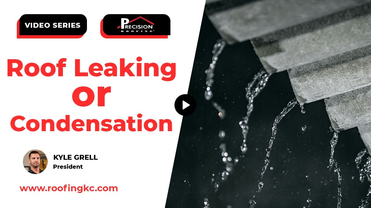 Roof Leaking or Condensation